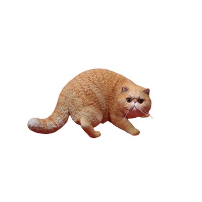 Lana Toys 1:6 Scale Exotic Shorthair Cat Figure Realistic Animal Model Resin Decoration