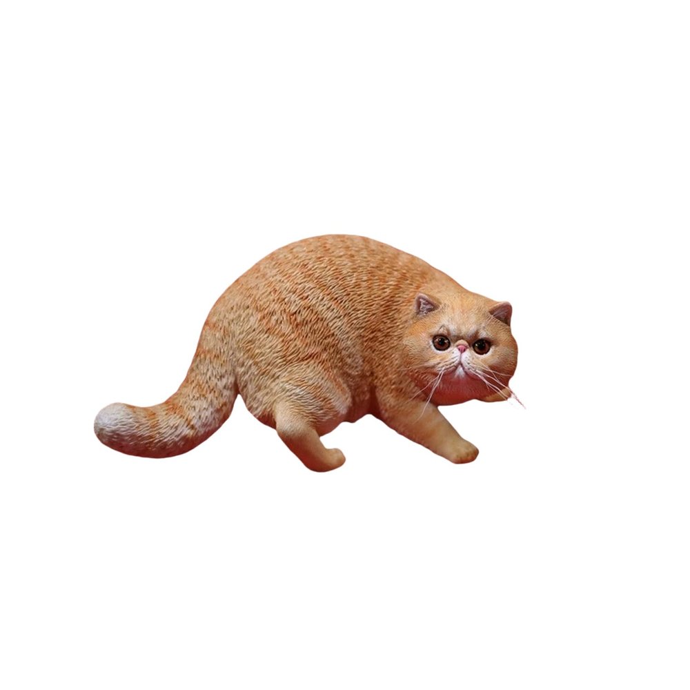 Lana Toys 1:6 Scale Exotic Shorthair Cat Figure Realistic Animal Model Resin Decoration