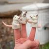 3 Pack Finger Possums Finger Puppets view 2