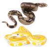 2pcs Realistic Fake Snakes Toy Rubber Snake Figure for Halloween Prank Props Fake Snake Scare Birds and Squirrels, Boa Constrictor Figurines (Pack of 2) view 1
