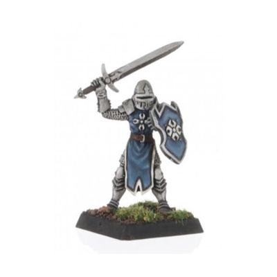 Reaper Warlord: Dannin Templar Warrior (14655)
