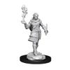 Critical Role Unpainted Miniatures: Pallid Elf Rogue and Bard Male view 1