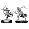D&D Nolzur's Marvelous Miniatures: Air Genasi Female view 1