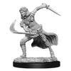 D&D Nolzur's Marvelous Miniatures: Air Genasi Female view 3