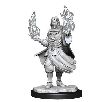 Critical Role Mini: Hollow One Rogue & Sorceror M