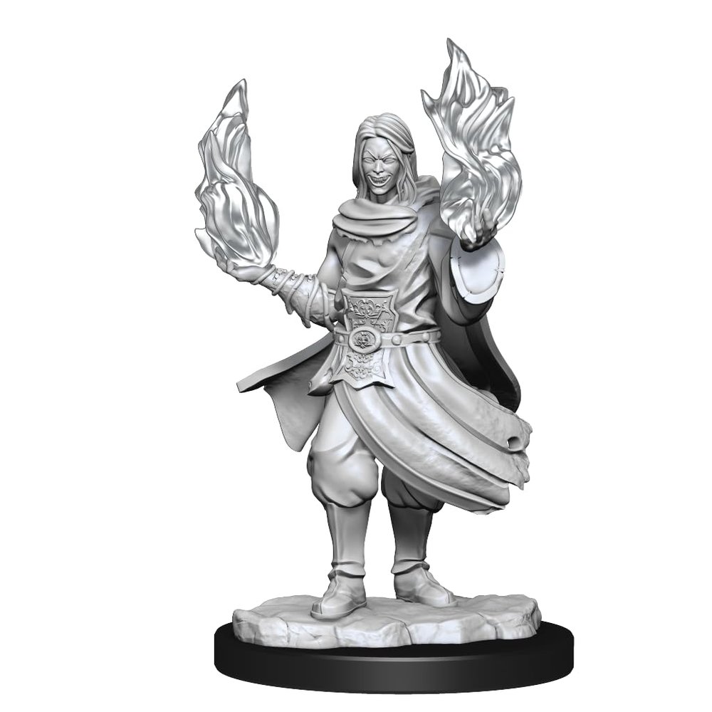 Critical Role Mini: Hollow One Rogue & Sorceror M