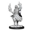 Critical Role Mini: Hollow One Rogue & Sorceror M view 1