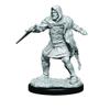 Critical Role Mini: Hollow One Rogue & Sorceror M view 2