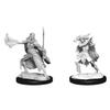 D&D Nolzur's Marvelous Miniatures: Winter Eladrin & Spring Eladrin view 1