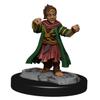 WizKids Pathfinder Deep Cuts: Halfing Monk Male view 4