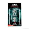 D&D: Nolzur's Marvelous Minis: Human Bard Male Wave 15 (Unpainted) view 1