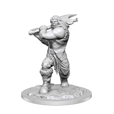 Dungeons & Dragons D&D: Nolzur's Marvelous Unpainted Minis: Ogre Female WZK 90426