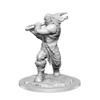 Dungeons & Dragons D&D: Nolzur's Marvelous Unpainted Minis: Ogre Female WZK 90426 view 1