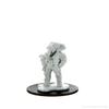 Magic: The Gathering Unpainted Miniatures: Quintorius, Field Historian view 3