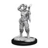 Starfinder Deep Cuts: Human Mechanic view 2