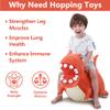 iPlay, iLearn Bouncy Pals Kids Dinosaur Hopper Ball, Inflatable Bouncing Animal Hopping Toys, Large Plush Ride on T-REX Bouncer, Outdoor Indoor Birthday Gift for 3 4 5 6 Year Old Boys Girls Toddlers view 2