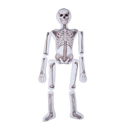 Fun Express Halloween Plush Skeleton Pillow, 5 Feet Tall - Halloween Decor - 1 Piece