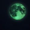 Alnicov 11.8 Inch Luminous Moon Wall StickerGlow in The Dark Moon Decor,Perfect Ceiling Wall Decor for Bedroom Living Room Birthday Decor Green view 1