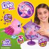 Little Live Pets Lil' Bird and House, Playset & Interactive, Animated Electronic Bird, Sounds, Record & Playback, Sings, Head Turns - as seen on TV! view 2