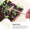 HEALLILY 8Pcs Mini Zen Sand Rakes Bamboo Rakes Tool Miniature Meditation Zen Garden Tool Feng Shui Tabletop Rock Ornament Garden Desktop Sandbox Kits 14cm x3. 5cm view 3