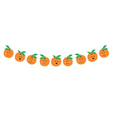 BignzwUra Little Orange Cutie Banner-Tangerine Theme/Clementine Fruit/Baby Shower/Orange Clementine Party Favors Supplies Decorations for Carnival/Events