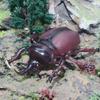 JOKFEICE Animal Figures Realistic Plastic Unicorn Beetle Animal Action Model Science Project, Learning Educational Toys, Birthday Gift, Cake Topper for Kids Toddlers view 4