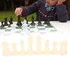 32 Pieces Chessmen Pieces, Chess Pieces Only 64mm M/75mm L King Figures Chess Game Pawns Figurine Pieces Replacement of Missing Piece (Black&White L) view 3