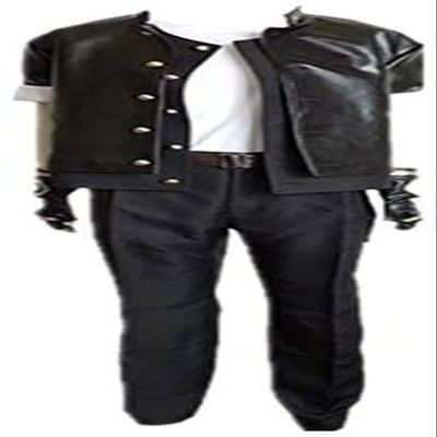 Kyo Kusanagi Cosplay Costume Custom Made Christmas Party Halloween Cosplay Costume (Female XL)