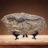 XINDAM Resin Tyrannosaurus Rex Dinosaur Fossil Statue Model Simulated Skeleton Home Office Display Decorative Craft Box Decoration (Style 5) view 1