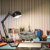 XINDAM Resin Tyrannosaurus Rex Dinosaur Fossil Statue Model Simulated Skeleton Home Office Display Decorative Craft Box Decoration (Style 5) view 3