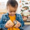 Safari Ltd. Dino Dana Baby Stegosaurus in Egg Figurine - 4.5" Dinosaur Egg - Educational Toy for Boys, Girls and Kids Ages 3+ view 3