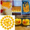 DZTIAN 31-Pieces Float & Squeak Mini Rubber Duck Baby Bath Ducky Sound ShowerToys for Kids Celebrate The Joy of The Children view 3