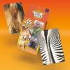 Name That Butthole - Guess The Animals from Their Buttholes - Animal Trivia Game - 55 Flashcards 4.9"x3.2" (12.5x8.1cm) view 2