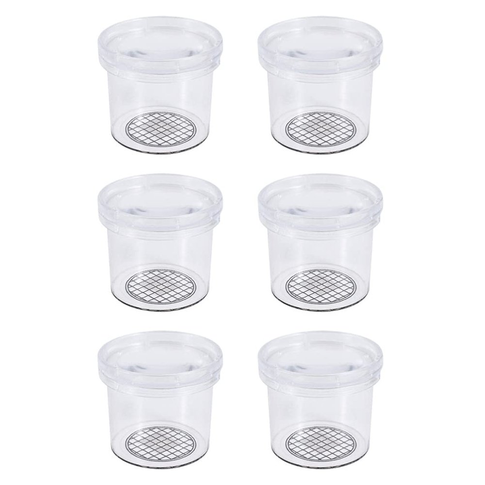 6Pcs viewer Box Viewer Critter Cage Box Magnifier Magnifier Container Cage Science Nature Exploration Tools Microscope case Transparent viewer Critter