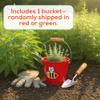 Toysmith Kids Gardening & Beach Bucket  5 Metal Pail with Grippable Handle | Assorted Bee & Beetle Colors | Durable Steel for Outdoor Play - 1 Count view 2