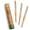 Honeysticks Jumbo Paint Brush Set - 3 Pack. Jumbo Paint Brushes for Kids with a Large Wood Handle for Easy Grip. Perfect for Toddler and Preschool Painting. Handy Storage Container. Vegan. view 1