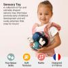 Little Big Friends Roly Poly Balls  Sensory Ball Toys for Babies & Toddlers | Develops Motor Skills & Hand-Eye Coordination | Ocean | Set of 4 view 2
