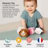 Little Big Friends Roly Poly Balls  Sensory Ball Toys for Babies & Toddlers | Develops Motor Skills & Hand-Eye Coordination | Farm | Set of 4 view 2