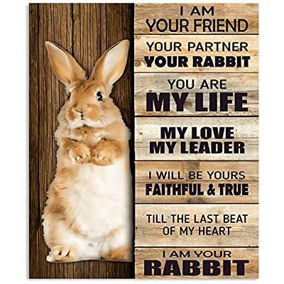 1000 Piece Jigsaw Puzzles Rabbit I Am Your Friend You Partner Jigsaw Puzzles for Adults and Kids Development Toys Games Toys Gift