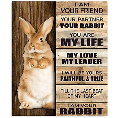 1000 Piece Jigsaw Puzzles Rabbit I Am Your Friend You Partner Jigsaw Puzzles for Adults and Kids Development Toys Games Toys Gift