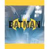 Batman Birthday Party Supplies Favor Bundle Pack includes 8 Loot Bags, 8 Bracelets, 24Tattoos, 8 Stickers Sheets, 8 Party PaperMasks, 1 Dinosaur Sticker Sheet view 2