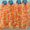 CABE Hawaiian Leis 12pc Party Favors Tropical Necklace Silk Flower Lei bundle with Luau Banner TM for Luau Beach Birthday Party Decorations and Party Supplies view 1
