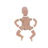 19 Doll Kit - Unpainted Baby Doll Mold with Limbs, Head, Cloth Body, Eyes & Accessories view 1
