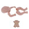 19 Doll Kit - Unpainted Baby Doll Mold with Limbs, Head, Cloth Body, Eyes & Accessories view 2