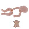 19 Doll Kit - Unpainted Baby Doll Mold with Limbs, Head, Cloth Body, Eyes & Accessories view 3