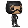 Batman The Funko POP Vinyl Figure | Catwoman view 4