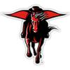 Texas Tech Red Raiders 8-Inch Vinyl Decal Sticker 4-Pack Officially Licensed Collegiate Product view 1