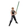 Star Wars Black Series 50th Anniversary Luke Skywalker and Isalamiri view 1