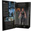 Star Wars Black Series 50th Anniversary Luke Skywalker and Isalamiri view 4