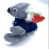 Aeisage Koala Stuffed Animal - 8 Inch Plush Koala Bear with T-Shirt, Super Soft Australian Souvenir Gift view 3